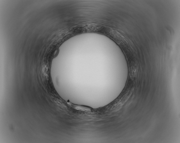 X0000113171010200909181827