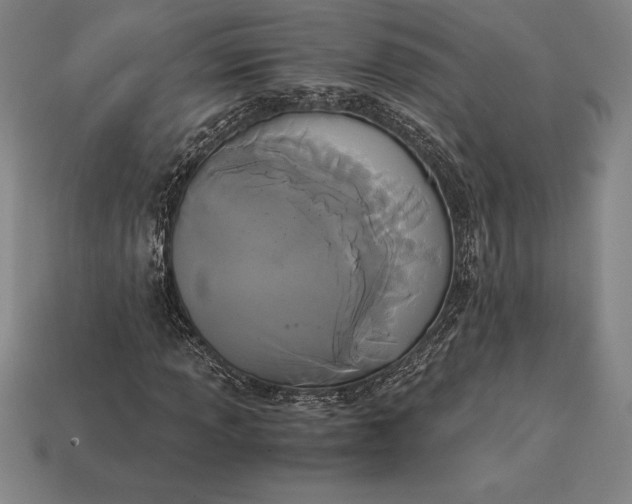X0000113171013200909181827