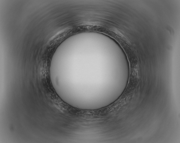 X0000113171014200909181827
