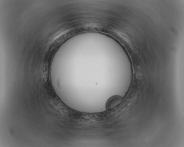 X0000113171015200909181827