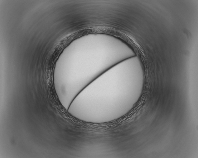 X0000113171016200909181827