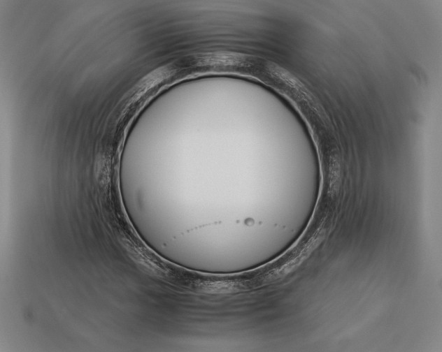 X0000113171017200909181827