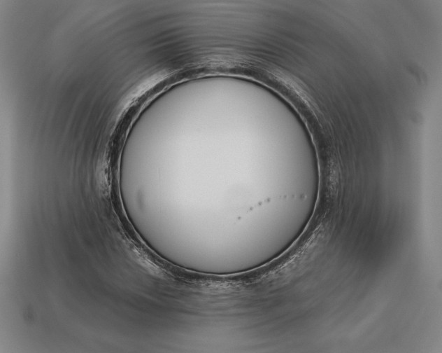 X0000113171018200909181827