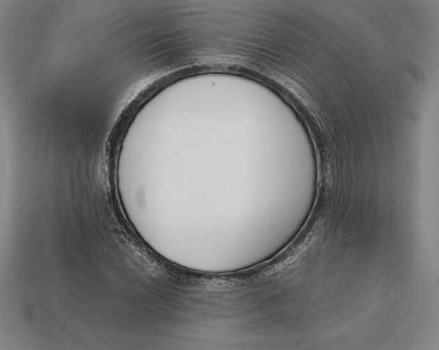 X0000113171022200909181827