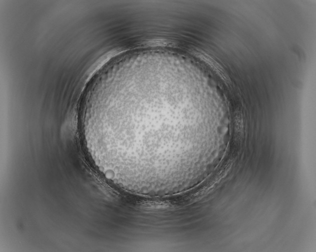X0000113171023200909181827