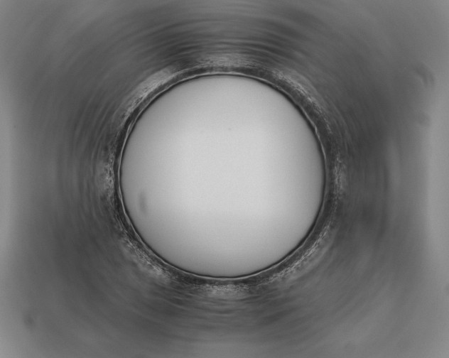 X0000113171025200909181827
