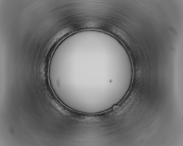 X0000113171026200909181827