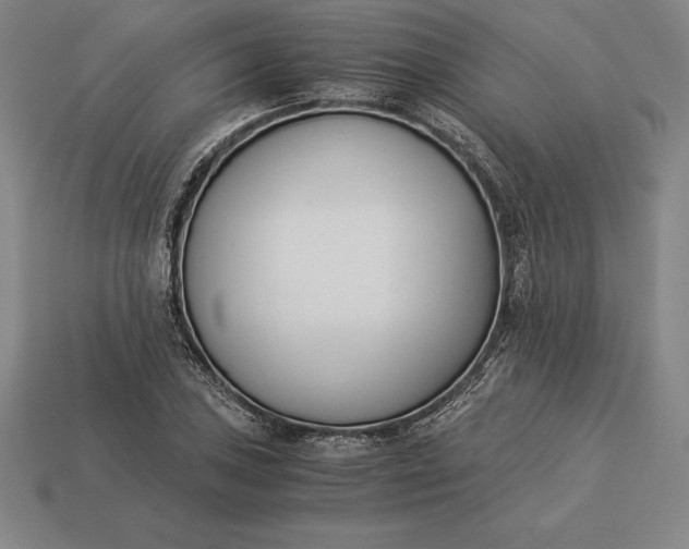 X0000113171027200909181827