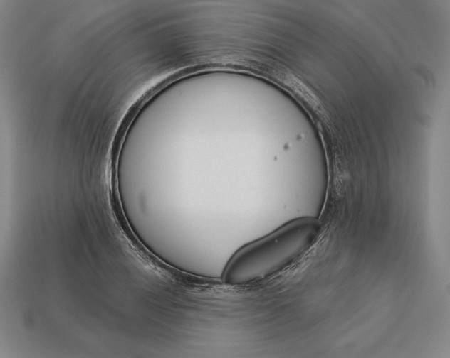 X0000113171028200909181827