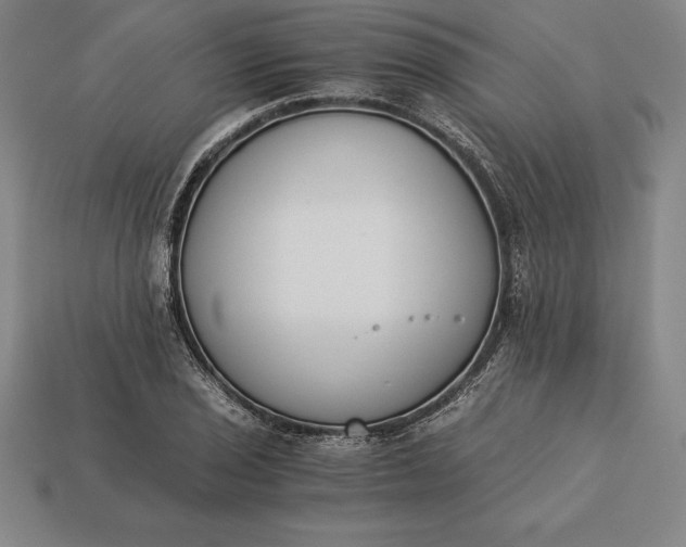 X0000113171029200909181827