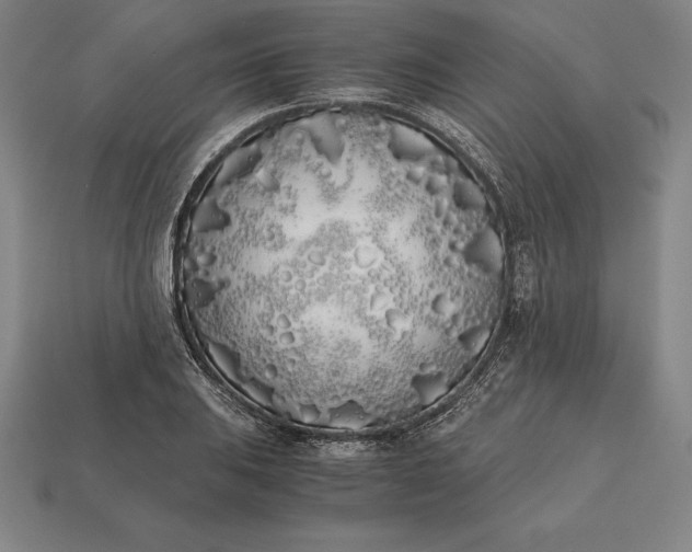 X0000113171031200909181827