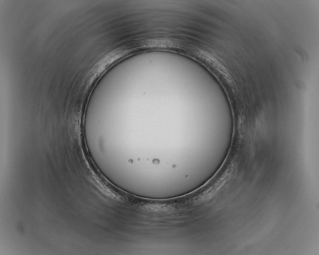 X0000113171033200909181827
