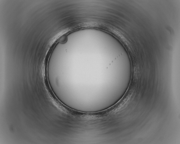 X0000113171034200909181827