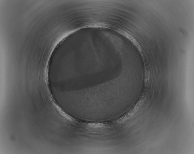 X0000113171037200909181828