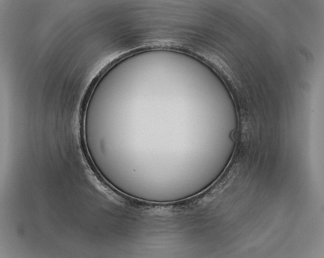 X0000113171038200909181828