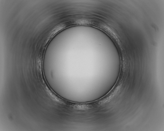 X0000113171041200909181828