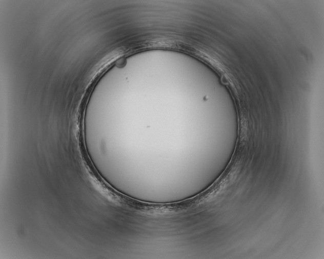 X0000113171042200909181828