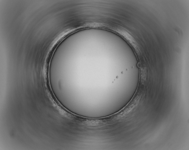 X0000113171046200909181828