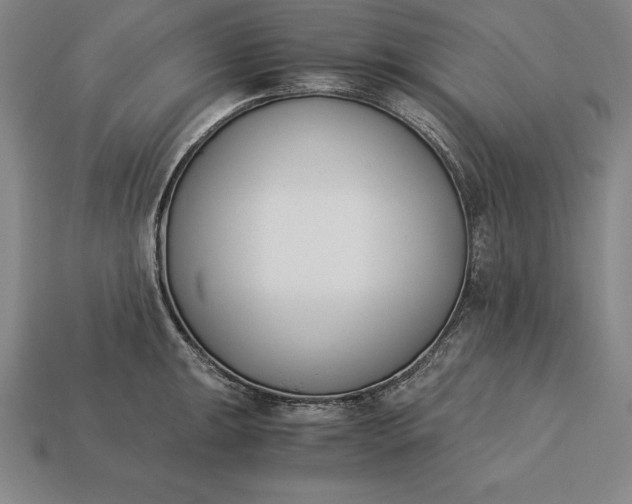 X0000113171047200909181828