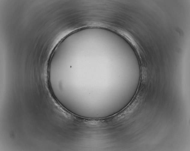 X0000113171048200909181828