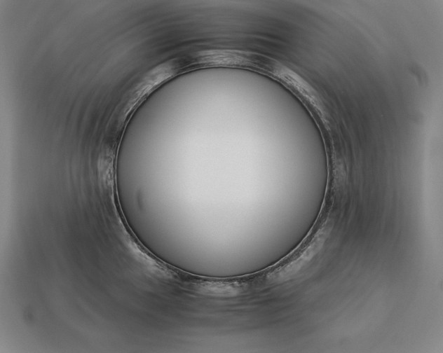 X0000113171049200909181828