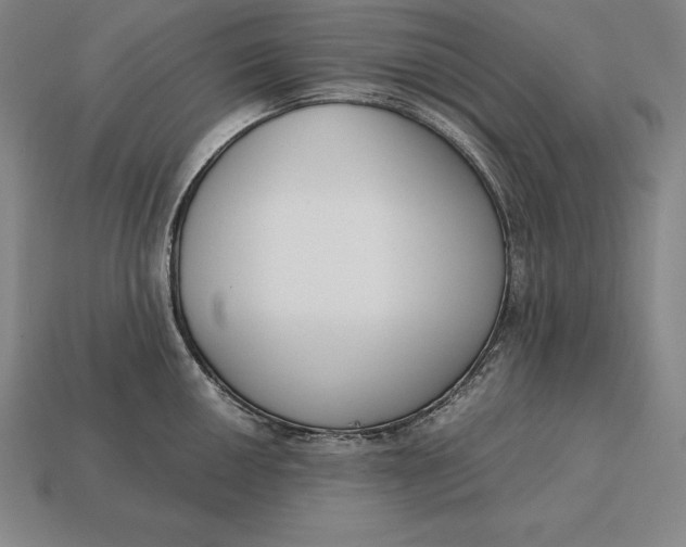 X0000113171050200909181828