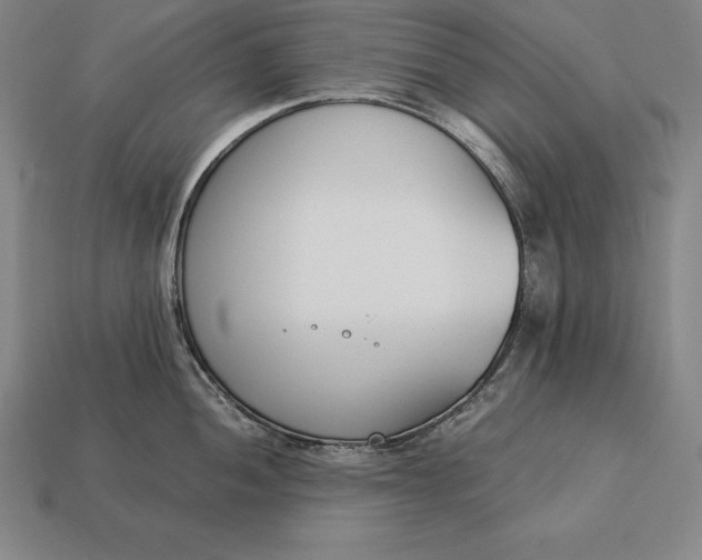 X0000113171052200909181828