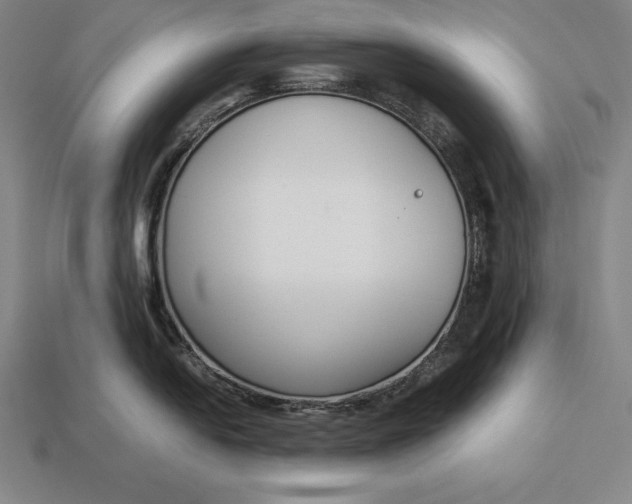 X0000113171054200909181828