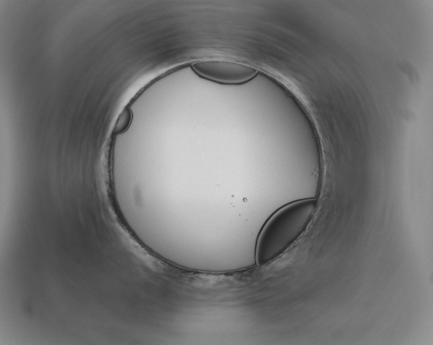 X0000113171056200909181828