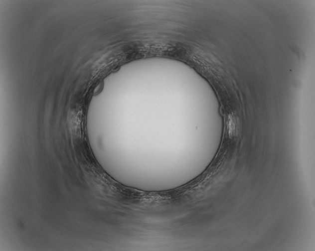 X0000113171059200909181827