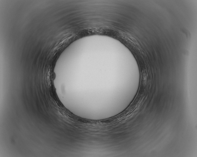 X0000113171060200909181827