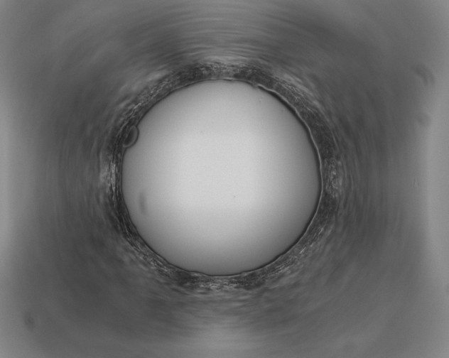 X0000113171061200909181827