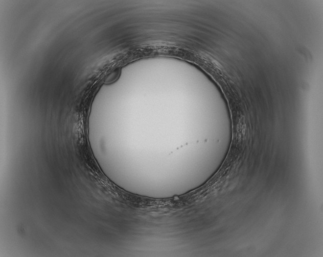 X0000113171062200909181827