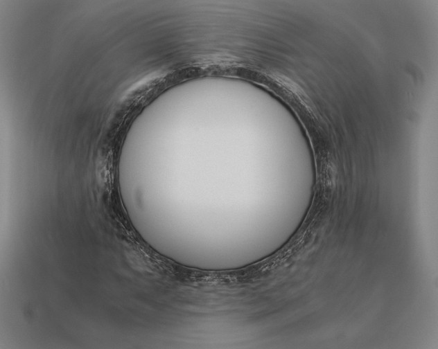 X0000113171063200909181827