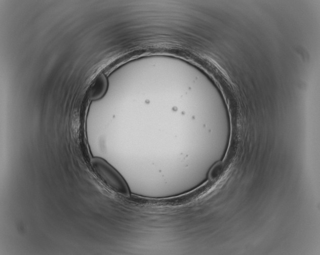 X0000113171065200909181827