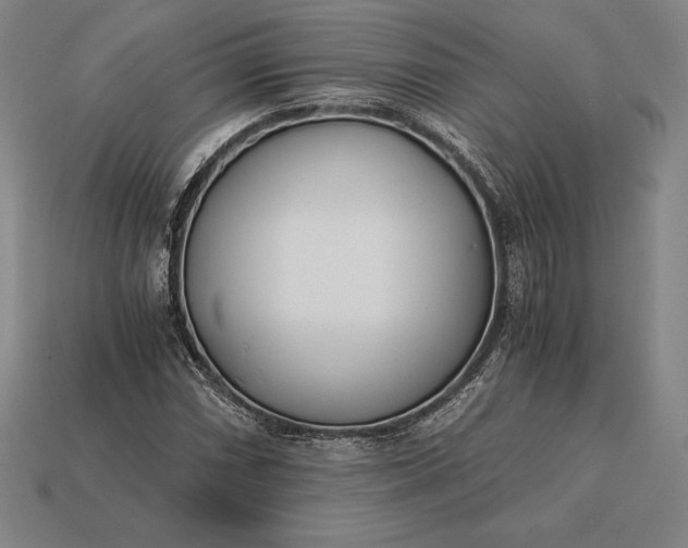 X0000113171066200909181827
