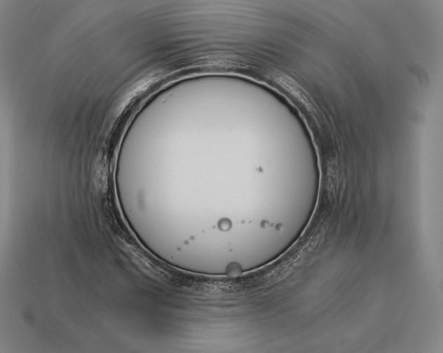 X0000113171067200909181827