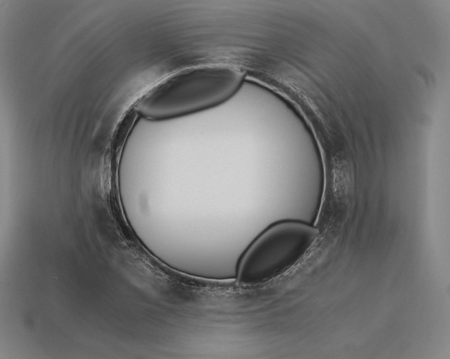 X0000113171069200909181827