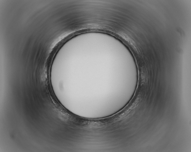 X0000113171070200909181827