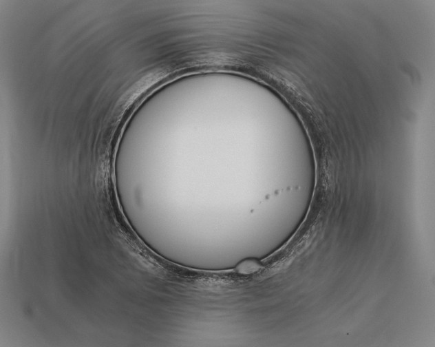 X0000113171073200909181827