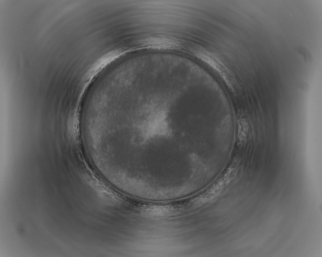X0000113171074200909181827