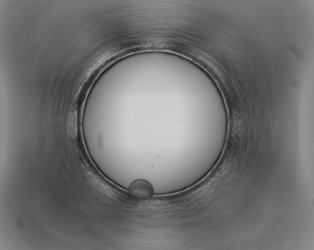 X0000113171075200909181827