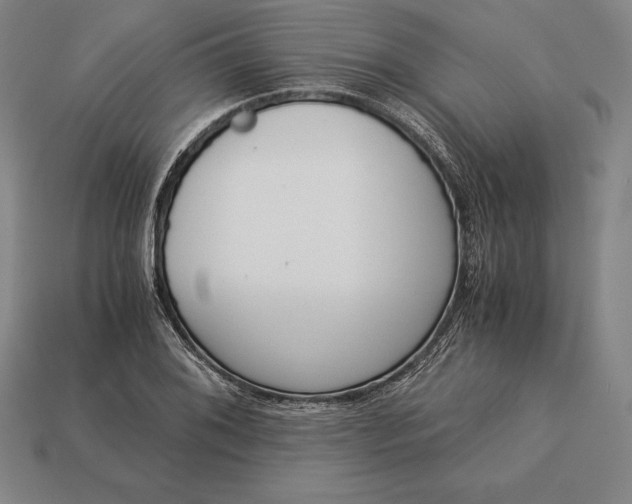 X0000113171076200909181827