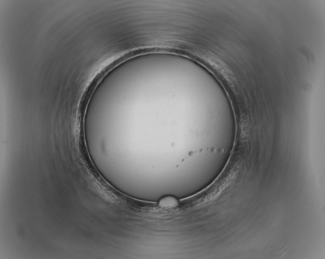 X0000113171077200909181827