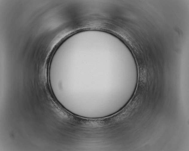 X0000113171078200909181827