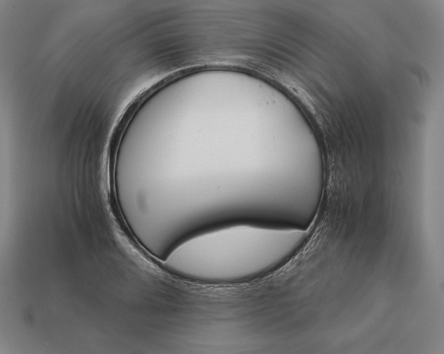 X0000113171080200909181827
