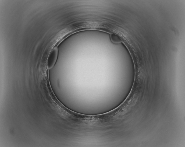 X0000113171081200909181827
