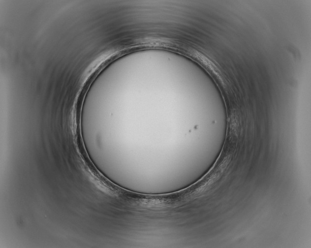 X0000113171082200909181827