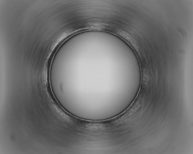 X0000113171083200909181827