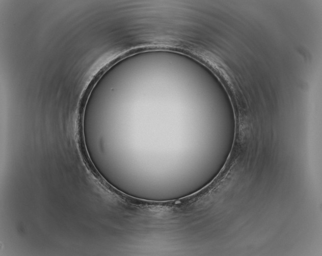 X0000113171085200909181827